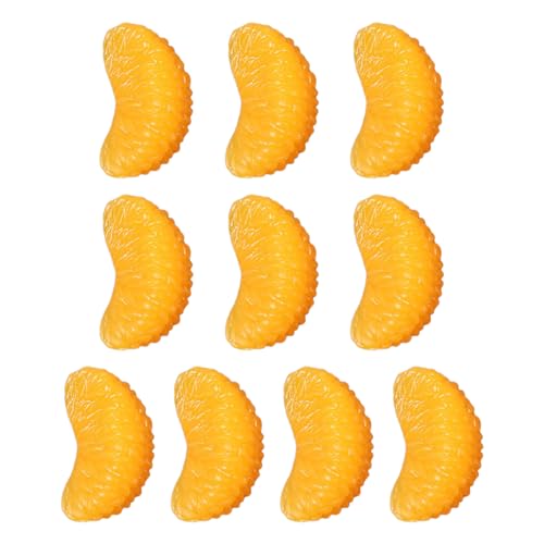 Fcnjsao 10 Stück simuliertes Obstmodell, Kiwi-Scheiben, Drachenfrucht, Blütenblätter, gefälschtes Modell für Fotografie von Fcnjsao