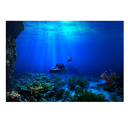 Aquarium, Unterwasser-Aquarium, Korallenriff, Foto, für Aquarium, Meeresfisch, XXL, Unterwasserwelt, Wanddekoration (122 x 50 cm), 91 x 41 cm von Fdit