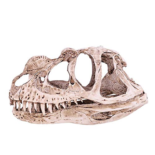 Fdit Retro Dinosaurier Harz Schädel Kopf Modell Replik Skeleton Figurine Sammlung Hause Bar Party Decor von Fdit