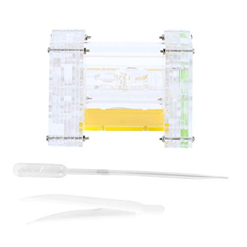 Acryl transparente Ameisennest Feuchtigkeit Insektenfeuchtigkeits -Gehäuse Wohnhaus für Kinderspielzeug für Kinder Acryl transparente Ameisennest Feuchtigkeit Insektenfeuchtigkeits -Gehäuse Wohnhaus für Kinderspielzeug für Kinder von Febuliy