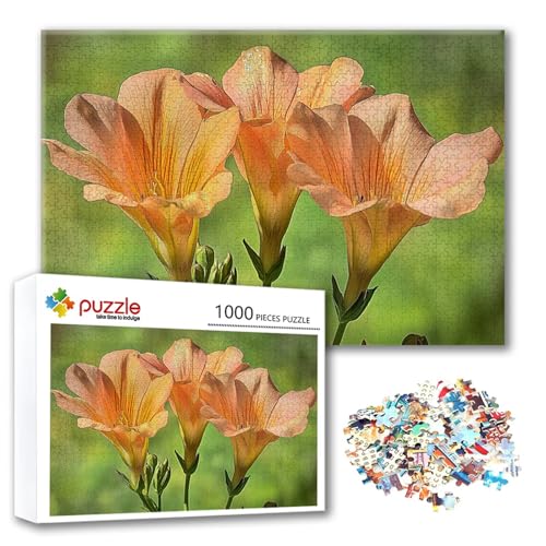 Puzzle 500 Teile Blume, Puzzle Erwachsene 500 Teile Landschaft, Klassische Holzpuzzles 52 x 38 cm, Lernspiel Herausforderung Spielzeug, Zimmer Wanddeko, Einzigartiges Geschenk für Frauen/Männer R-4 Puzzle 500 Teile Blume, Puzzle Erwachsene 500 Teile Landschaft, Klassische Holzpuzzles 52 x 38 cm, Lernspiel Herausforderung Spielzeug, Zimmer Wanddeko, Einzigartiges Geschenk für Frauen/Männer R-4 von FeiPride
