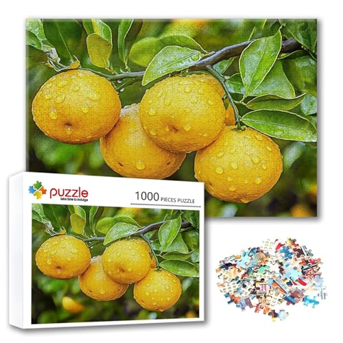Puzzle Zitrone Puzzle 300 Teile Obst, Herausforderung Impossible Jigsaw, Erwachsene Wooden Jigsaw Spielzeug, Puzzlespiele für Die Ganze Familie Stressabbau, Geschenk für Frauen Männer 40 x 28 cm C-6 von FeiPride
