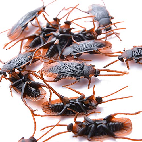 FeiWen Kakerlakenspielzeug aus Kunststoff, Requisite, Halloween-Party, Heimdekoration, Feiertagsdekoration, Streich, lustige Dekoration (100pcs) von FeiWen