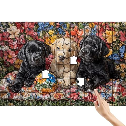 Hund Puzzle 36 Teile Erwachsene, Tier Klassische Puzzles Bastelset Erwachsene, Buntes und Lustiges Lernspiele Set, Herausforderung Spielzeug mit Box für Home Wall Decor, Geschenke für Männer A-1 Hund Puzzle 36 Teile Erwachsene, Tier Klassische Puzzles Bastelset Erwachsene, Buntes und Lustiges Lernspiele Set, Herausforderung Spielzeug mit Box für Home Wall Decor, Geschenke für Männer A-1 von Feionnug