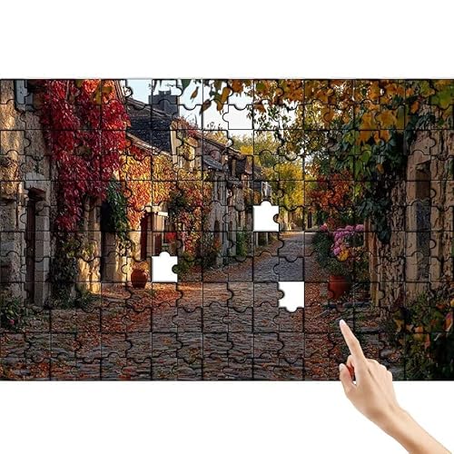 Puzzle 300 Teile Ländlich, Straße Puzzle Erwachsene, Lernspiele für Ganze Familie, Unmögliche Herausfordern Spielzeug, Bunter Legespiel Spaß Set mit Box für Room Wall Decor Geschenke für Frauen L-8 von Feionnug