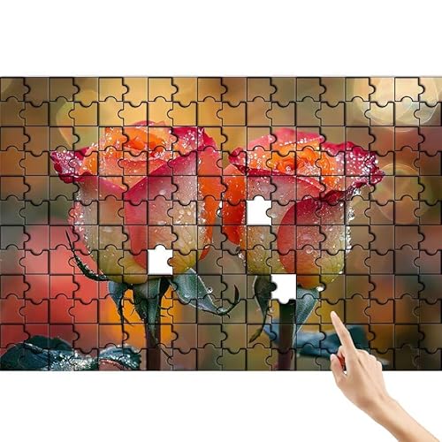 Rose Puzzle 500 Teile Erwachsene, Anlage Klassische Puzzles Bastelset Erwachsene, Buntes und Lustiges Lernspiele Set, Herausforderung Spielzeug mit Box für Home Wall Decor, Geschenke für Männer L-1 von Feionnug