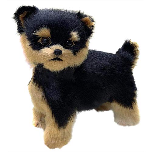 Feizikaw Kauspielzeug Welpe Kinderspielzeug Modelle Tier Yorkshire Hundeplüsch Simulation Geschenke Plüschtier (AS Shown, One Size) von Feizikaw