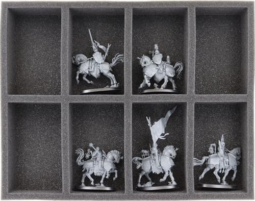 Feldherr FS050A115 Schaumstoffeinlage kompatibel mit Cities of Sigmar - 8 Fächer von Feldherr