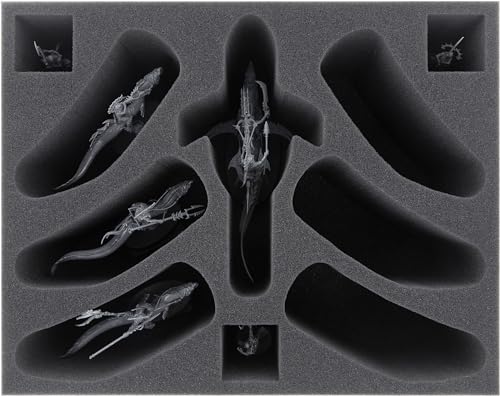 Feldherr FSMEGF120BO Schaumstoffeinlage kompatibel mit Idoneth Deepkin: Akhelian Guard + Akhelian Allopex Feldherr FSMEGF120BO Schaumstoffeinlage kompatibel mit Idoneth Deepkin: Akhelian Guard + Akhelian Allopex von Feldherr