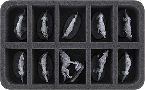 Feldherr HS050A077 Schaumstoffeinlage kompatibel mit Soulblight Gravelords - 10 Fächer Feldherr HS050A077 Schaumstoffeinlage kompatibel mit Soulblight Gravelords - 10 Fächer von Feldherr