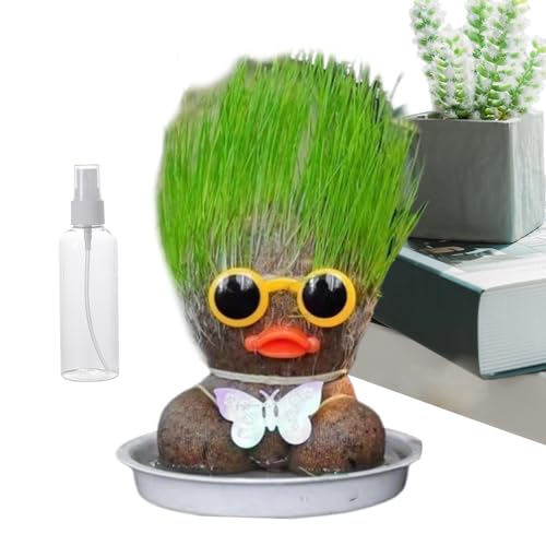 Fellflying Wachsende Graskopfpuppe, Graskopfpuppe Pflanze - Bildung Spielzeug Bonsai Kopfgraspuppe - Mit Tabletts und Sprühflaschen kultivieren Kinder Pflanzfähigkeit für Gartendekoration. Versorgung Fellflying Wachsende Graskopfpuppe, Graskopfpuppe Pflanze - Bildung Spielzeug Bonsai Kopfgraspuppe - Mit Tabletts und Sprühflaschen kultivieren Kinder Pflanzfähigkeit für Gartendekoration. Versorgung von Fellflying