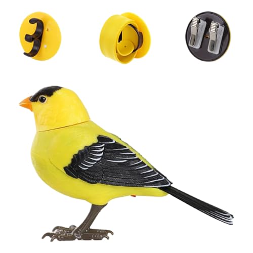Fenayuu Bird Spielzeug Für Kinder - Vogel Figuren Spielzeuge | Realistischer Sprechender Elektronischer Schreibtisch Haustier Für Sensorisches Spiel Geburtstag Zimmer Deko Fenayuu Bird Spielzeug Für Kinder - Vogel Figuren Spielzeuge | Realistischer Sprechender Elektronischer Schreibtisch Haustier Für Sensorisches Spiel Geburtstag Zimmer Deko von Fenayuu