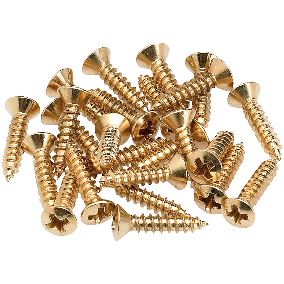 Fender Pickguard - Control Plate Mounting Screws (24) gold Schraube von Fender