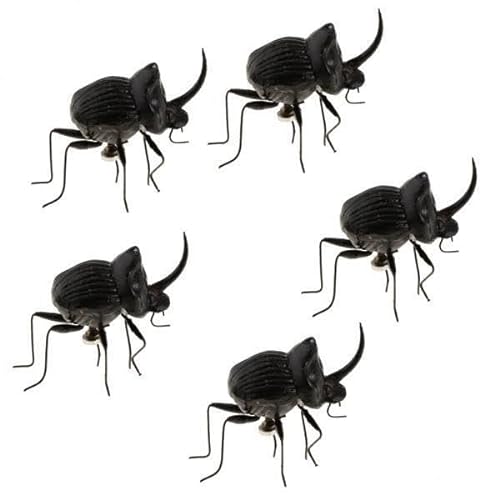 Fenteer 3X 5Pcs Simulation Künstliches Insektenmodell Kinder Lernspielzeug Käfer von Fenteer