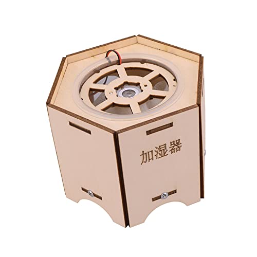 Fenteer DIY Luftbefeuchter Handwerk Lernspielzeug Montage Dekorationen für Zuhause Mädchen Unisex von Fenteer