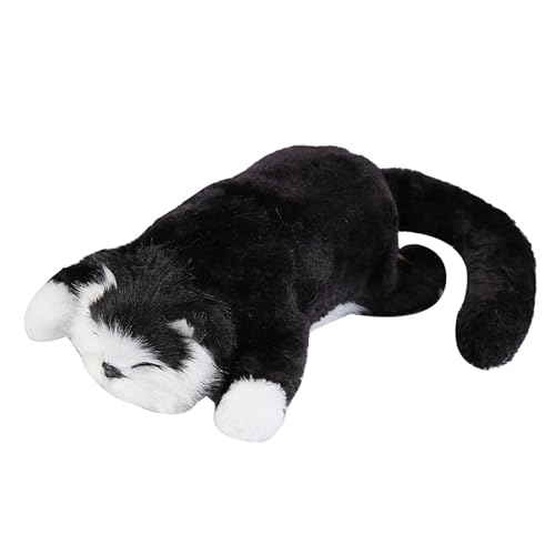 Fenteer Elektronisches rollendes Katzenspielzeug, elektronisches interaktives Katzen-Früherziehungs-Interaktives Begleittier als Geburtstagsgeschenk, Schwarz Fenteer Elektronisches rollendes Katzenspielzeug, elektronisches interaktives Katzen-Früherziehungs-Interaktives Begleittier als Geburtstagsgeschenk, Schwarz von Fenteer