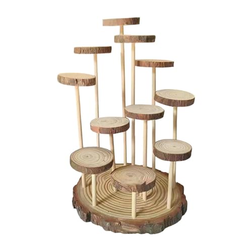 Fenteer Holz Display Riser Display Rack Model Display Leiter Action Abbildung Display Regal Speicherregal für Handwerkdekorationspfüm, 11 Plattformen Fenteer Holz Display Riser Display Rack Model Display Leiter Action Abbildung Display Regal Speicherregal für Handwerkdekorationspfüm, 11 Plattformen von Fenteer