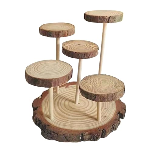 Fenteer Holz Display Riser Display Rack Model Display Leiter Action Abbildung Display Regal Speicherregal für Handwerkdekorationspfüm, 5 Plattformen Fenteer Holz Display Riser Display Rack Model Display Leiter Action Abbildung Display Regal Speicherregal für Handwerkdekorationspfüm, 5 Plattformen von Fenteer