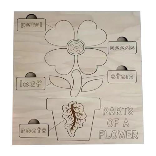 Fenteer Holzpuzzle, pädagogisch, Vorschul-Pflanzenpuzzle, frühes Lernen, Blumenpuzzle für Kinder von Fenteer