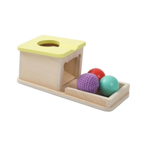 Fenteer Holzspielzeug Set Motorik Konzentration, Entwicklungsspiel Entwicklungsspielzeug für Vorschulkinder Jungen Mädchen Kleinkinder, mit Kugel von Fenteer