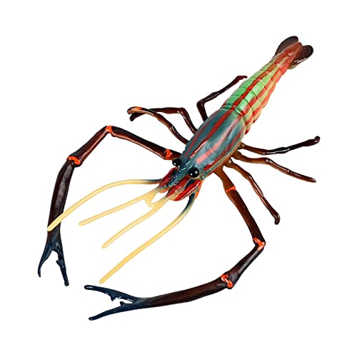 Fenteer -Hummer-Modell Spielzeug Ornamente Requisiten Sammlerfiguren Statuen für Sandtisch Kindergarten Mädchen Jungen Kleinkinder Unisex Fenteer -Hummer-Modell Spielzeug Ornamente Requisiten Sammlerfiguren Statuen für Sandtisch Kindergarten Mädchen Jungen Kleinkinder Unisex von Fenteer