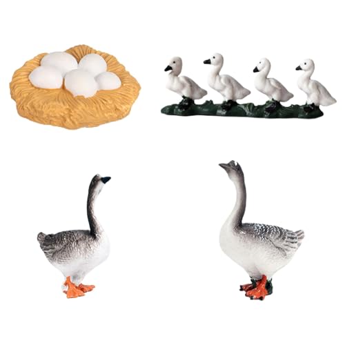 Fenteer Lebenszyklus-Modell Einer Gans, kognitives Lernen, Partygeschenke, Lehrhilfen, Wissenschaftsprojekt, Wachstumsset mit Tierfiguren für die Vorschule, graue Gans von Fenteer