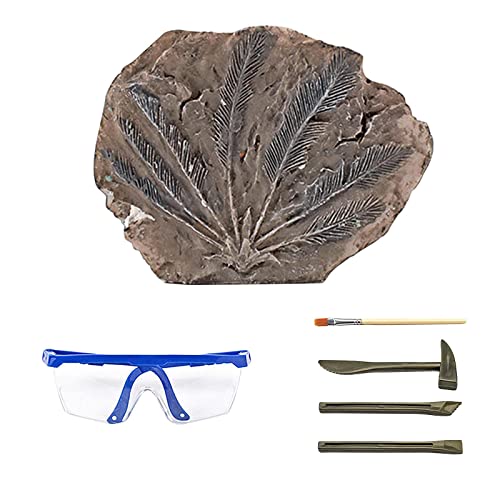 Fenteer Lustiges Dinosaurier-Ausgrabungsset Science Kit Spielzeug DIY Ausgrabungsspielzeug, Lernspielzeug für die Stammwissenschaft, Stein von Fenteer