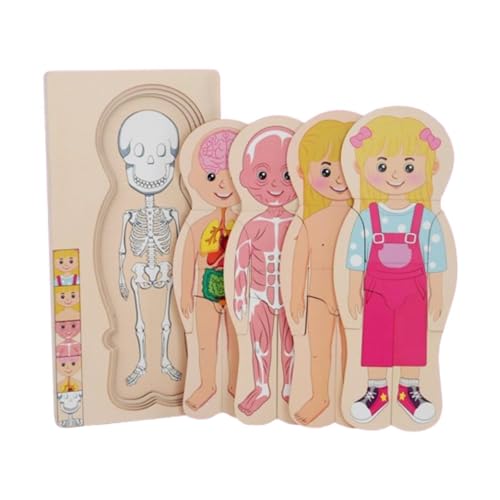 Fenteer Menschlicher Körper Puzzle für Kinder Montessori Feinmotorik Fähigkeiten Kreatives Vorschulspiel Lernspielzeug für Kinder, Gril Fenteer Menschlicher Körper Puzzle für Kinder Montessori Feinmotorik Fähigkeiten Kreatives Vorschulspiel Lernspielzeug für Kinder, Gril von Fenteer