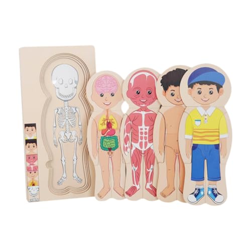 Fenteer Menschlicher Körper Puzzle für Kinder Montessori Feinmotorik Fähigkeiten Kreatives Vorschulspiel Lernspielzeug für Kinder, Junge Fenteer Menschlicher Körper Puzzle für Kinder Montessori Feinmotorik Fähigkeiten Kreatives Vorschulspiel Lernspielzeug für Kinder, Junge von Fenteer