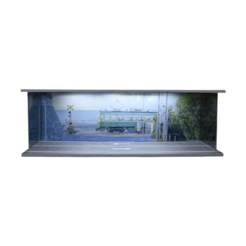 Fenteer Vitrine für Druckguss-Modellautos im Maßstab 1:64 mit LED-Leuchten, schützende Auto-Garage-Vitrine für Legierungsautomodelle, Sammler, Style C von Fenteer