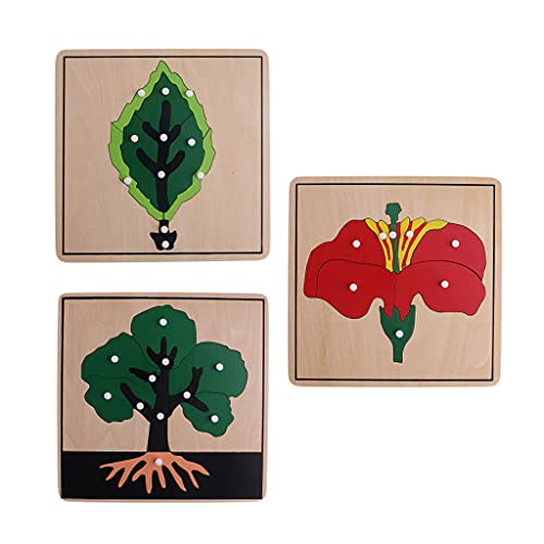 Montessori 3 Puzzles Lernkarten (, Blatt und) von Fenteer