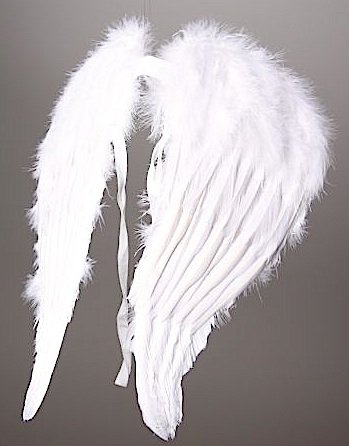 Festartikel Müller Engelsflügel aus echten Federn 45 cm Weihnachten Kostüm Festartikel Müller Engelsflügel aus echten Federn 45 cm Weihnachten Kostüm von Festartikel-Müller