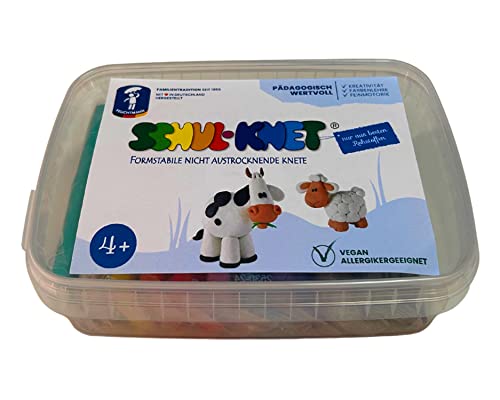 Feuchtmann SCHUL-KNET Box Maxi | Knetset 10 x 40g Kinderknete in Stangen | vegane glutenfreie Spielknete | nicht trocknende Knete | ungiftige Modelliermasse von Feuchtmann