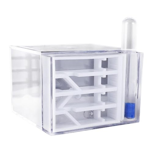 FewNvWa Farm Habitat Lustige Spielzeug DIY Liefert Wissenschaft Pädagogisches Nest für Geschenk FewNvWa Farm Habitat Lustige Spielzeug DIY Liefert Wissenschaft Pädagogisches Nest für Geschenk von FewNvWa