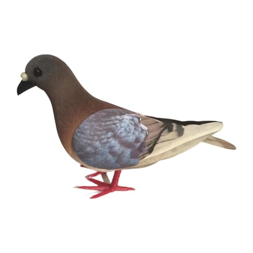 FewNvWa Modell Einer Taube Aus Schaumstoff, Künstlicher Vogel für Tischdekoration Und Lernzwecke, Erdig Rot von FewNvWa