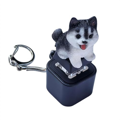 Quakendes Fidget-Spielzeug für Hunde und Katzen, mit Tastatur, Frosch, Fidget-Spielzeug für Erwachsene, Tiere, Einzeltaste, lindert Angst und sensorischen Spaß Quakendes Fidget-Spielzeug für Hunde und Katzen, mit Tastatur, Frosch, Fidget-Spielzeug für Erwachsene, Tiere, Einzeltaste, lindert Angst und sensorischen Spaß von Fgbetcv
