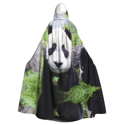 Fgwaauh 147,3 cm Umhang mit Kapuze, hübscher Panda, der auf dem Grasland spazieren geht, Unisex, volle Länge, Kapuzenumhang, Halloween, Party, Cosplay, Kostüm, Umhang Fgwaauh 147,3 cm Umhang mit Kapuze, hübscher Panda, der auf dem Grasland spazieren geht, Unisex, volle Länge, Kapuzenumhang, Halloween, Party, Cosplay, Kostüm, Umhang von Fgwaauh
