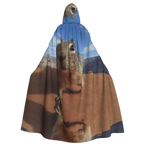Fgwaauh Umhang mit Kapuze, 147,3 cm, Unisex, volle Länge, Kapuzenumhang, Halloween, Party, Cosplay, Kostüm, Umhang Fgwaauh Umhang mit Kapuze, 147,3 cm, Unisex, volle Länge, Kapuzenumhang, Halloween, Party, Cosplay, Kostüm, Umhang von Fgwaauh