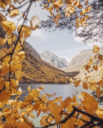 Blick auf den Berg durch gelbe Blätter – 3000-teiliges Holzpuzzle – dekoratives Bild für Familie und Freunde von FiXizy