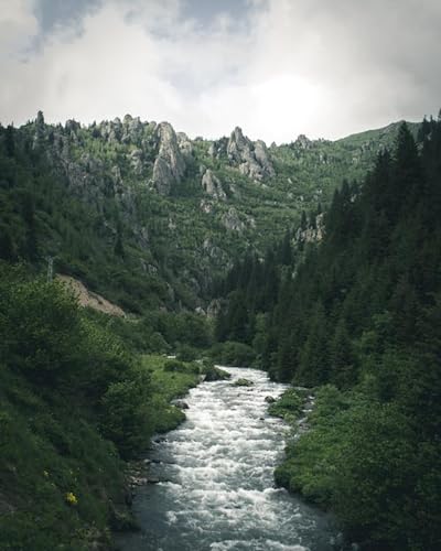 Der rauschende Fluss am Fuße des Berges – 1000-teiliges Holzpuzzle – Lernspiel, Heimdekorationspuzzle von FiXizy