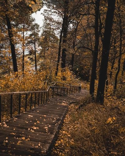 Herbsttreppen in den Bergen – 4000-teiliges Holzpuzzle – ideal für Erwachsene, Familien oder von FiXizy