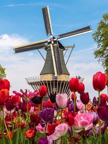 Holländische Tulpenwindmühle – 12000-teiliges Holzpuzzle – Puzzle für Familien, Paare von FiXizy