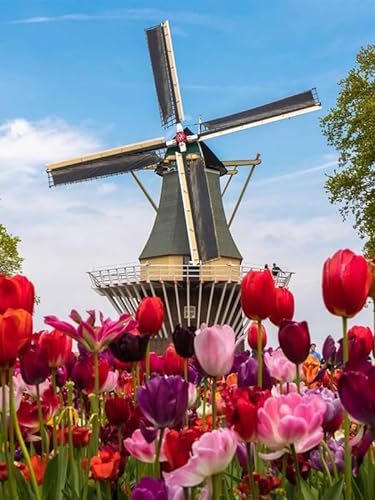 Holländische Tulpenwindmühle – 7000-teiliges Holzpuzzle – Puzzle für Familien, Paare von FiXizy