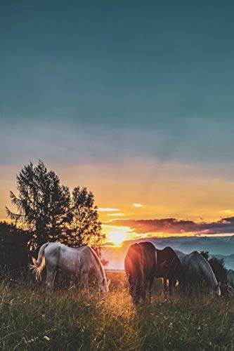 Pferd weidet bei Sonnenuntergang – 500-teiliges Holzpuzzle – großes Lernspiel für Erwachsene und Familien von FiXizy