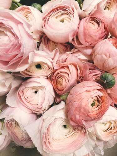 Rosa Blume – 5000-teiliges Holzpuzzle – Schwierigkeit und Herausforderung, großes Puzzle-Spiel, Puzzle-Geschenk Rosa Blume – 5000-teiliges Holzpuzzle – Schwierigkeit und Herausforderung, großes Puzzle-Spiel, Puzzle-Geschenk von FiXizy