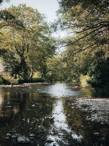 Steine ​​am Fluss – 1500-teiliges Holzpuzzle – Familienpuzzle, stressreduzierendes, schwieriges Puzzle für Erwachsene von FiXizy