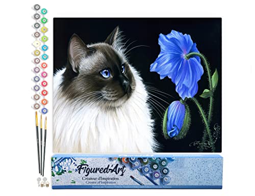 Figured'Art Malen Nach Zahlen Erwachsene Katze und Blume - Paint by Numbers Basteln DIY Bastelset 40x50cm ohne Holzrahmen von Figured'Art