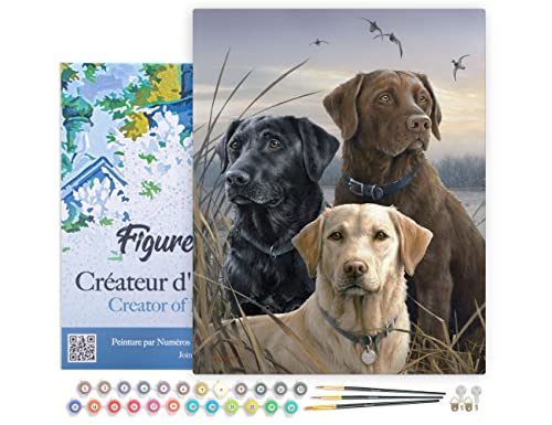 Figured'Art Malen Nach Zahlen Erwachsene Mit Rahmen Labrador-Trio - Paint by Numbers Basteln DIY Bastelset 40x50cm Leinwand gespannt auf Holzrahmen von Figured'Art