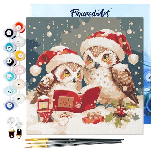 Figured'Art Mini Malen Nach Zahlen Erwachsene Mit Rahmen 20x20cm Kleines Format - Lesende Weihnachts-Eulen - Paint by Numbers Basteln DIY Bastelset Leinwand gespannt auf Holzrahmen Figured'Art Mini Malen Nach Zahlen Erwachsene Mit Rahmen 20x20cm Kleines Format - Lesende Weihnachts-Eulen - Paint by Numbers Basteln DIY Bastelset Leinwand gespannt auf Holzrahmen von Figured'Art