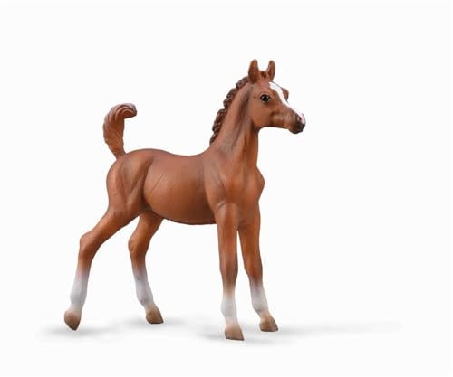 COLLECTA Arabisches Fohlen - 1:20 von Collecta